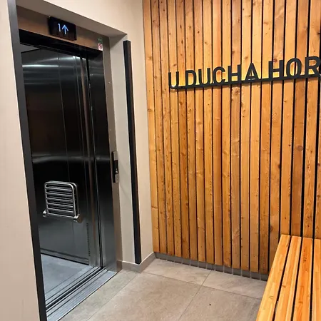 Luxusní Grand V Centru Harrachova Se Saunou, Wallboxem Ev,velkým Balkonem A Výhledem Na Můstky Apartmán *