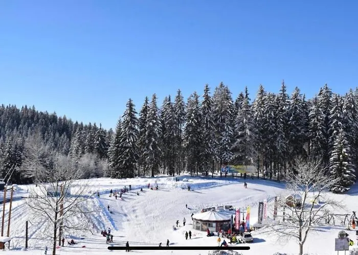 아파트 Luxusni Grand V Centru Harrachova Se Saunou, Wallboxem Ev, Parkovanim Zdarma, S Velkym Balkonem A Vyhledem Na Certovu Horu, Sjezdovku A Skokanske Mustky *